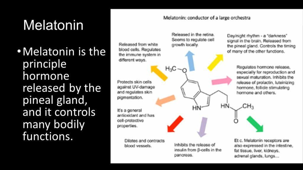 CBD And Melatonin For SleepWhich One Should I Choose