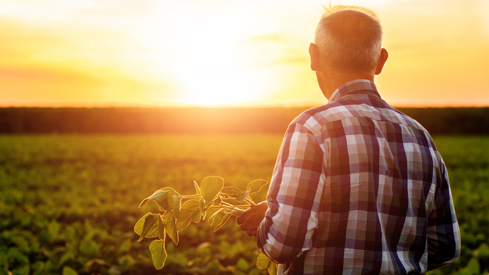 What Are the Benefits of the Farmer’s Walk Exercise?