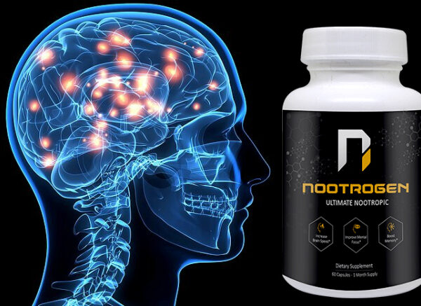 The Comprehensive Guide to the Benefits of Vitamin K2 Nootropics