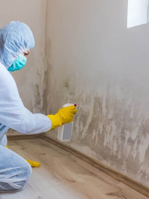 Mold: Symptoms of Exposure, Risks, and More