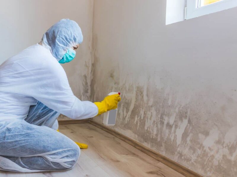 Mold: Symptoms of Exposure, Risks, and More